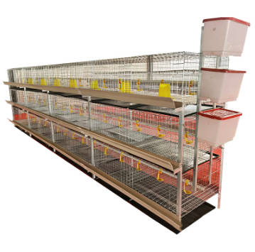 H Type Galvanized Layer Chicken Cage System for Poultry Farm